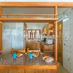 Apartment Orellana *